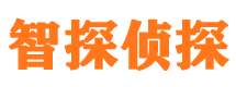 安吉寻人公司